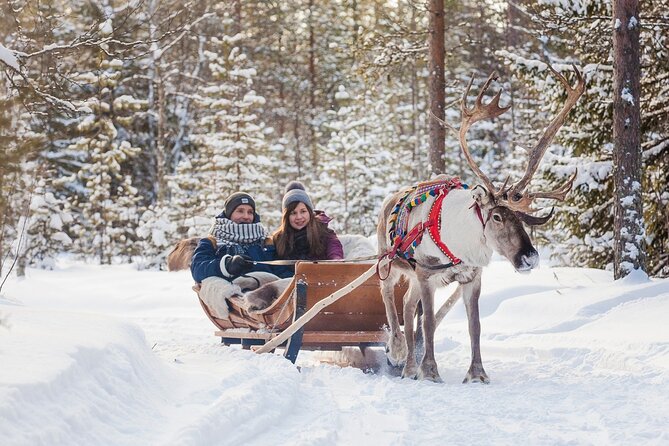 Snowmobile & Animals Day Tour - Tour Duration and Start Times