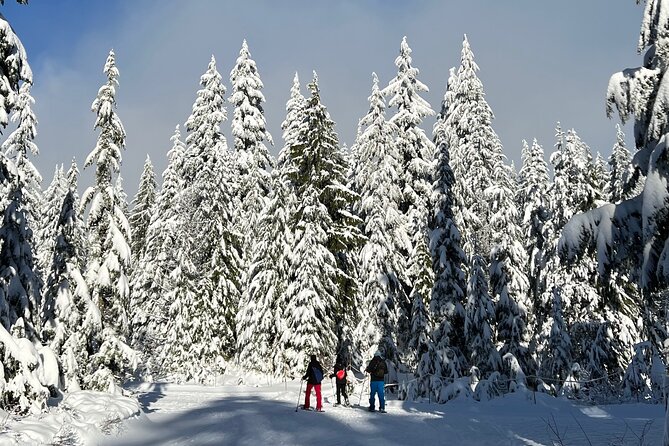 Snowshoeing at The Top of The Sea to Sky Gondola - Tour Details