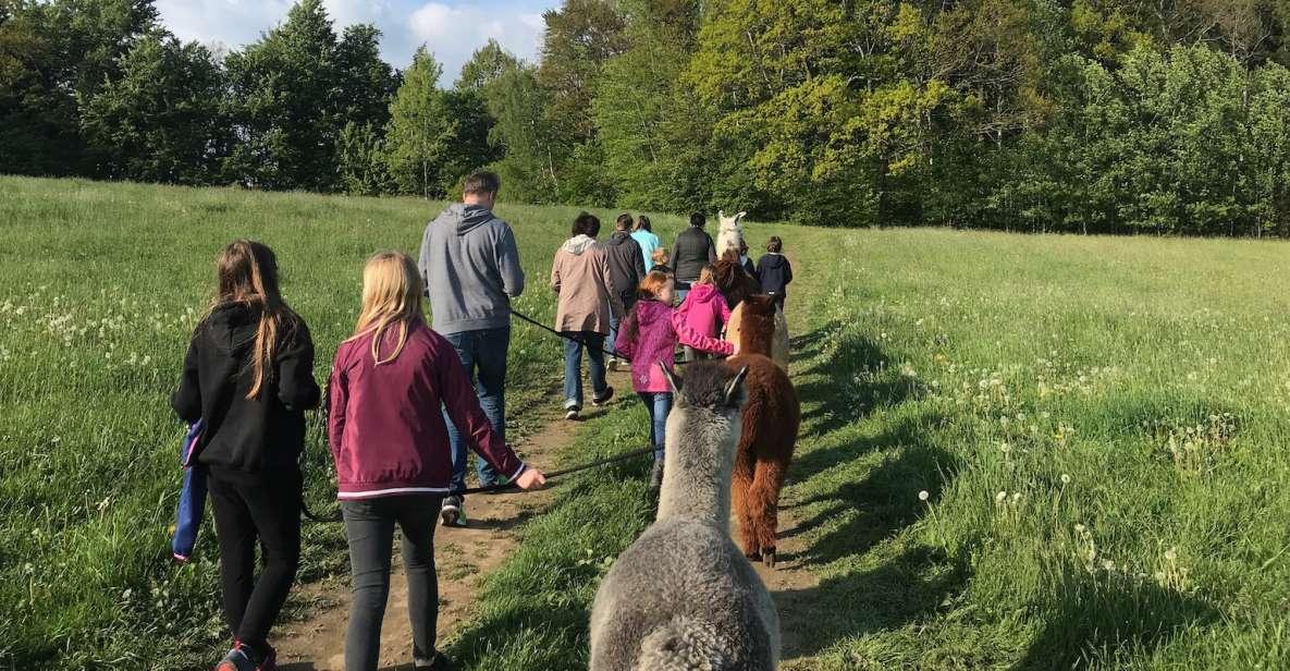 Sohland an Der Spree: Walk With an Alpaca - Inclusions and Exclusions