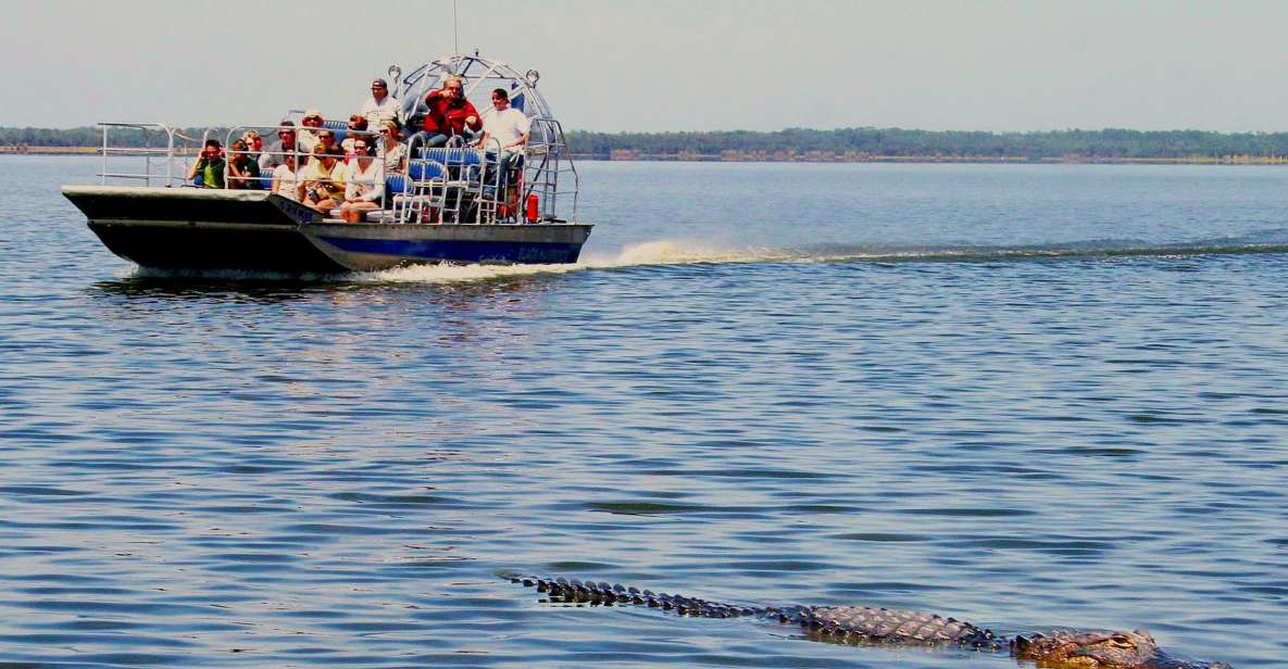 South Beach: Everglades Wildlife Airboat Tour - Wildlife Sightings