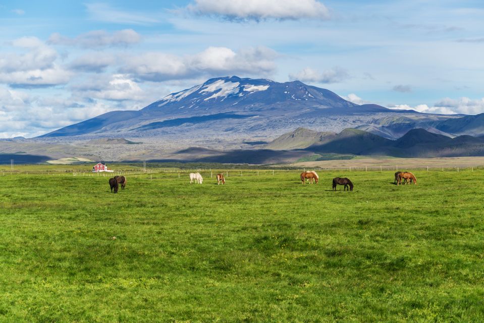 South Coast Classic: Full-Day Tour From Reykjavik - Itinerary Highlights