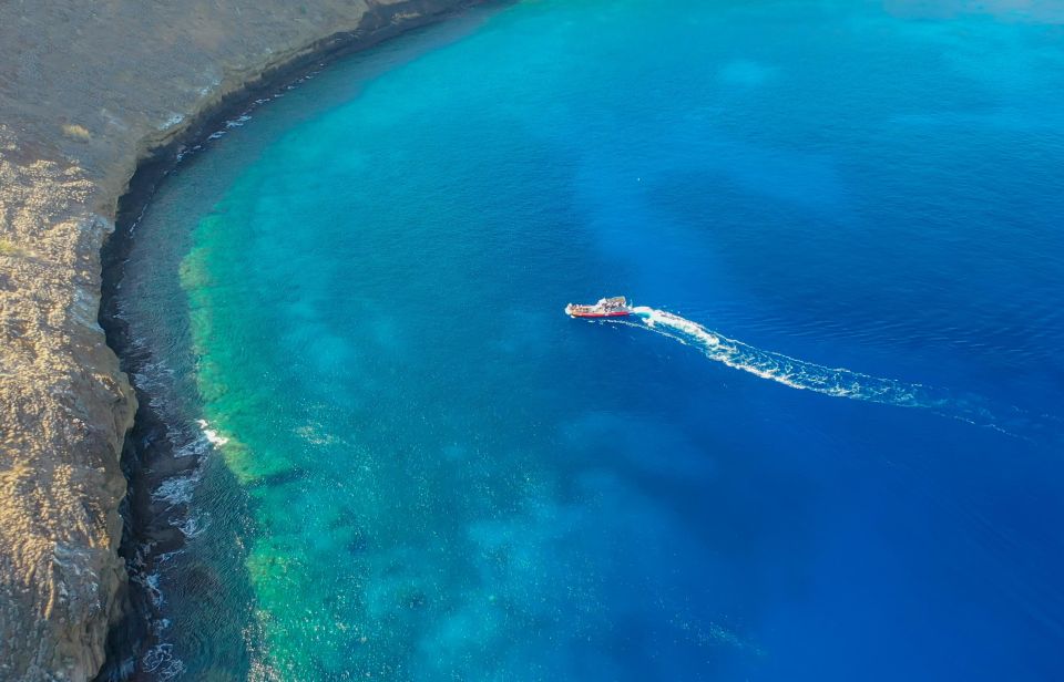 South Maui: Molokini Crater and Turtle Town Snorkeling Trip - Snorkeling at Molokini