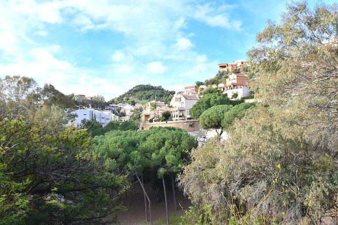 Spanish Civil War Private Walking Tour in Malaga - Cancellation Policy