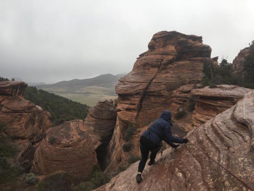 Springdale: Half-Day Canyoneering Experience - Highlights of the Canyoneering Tour