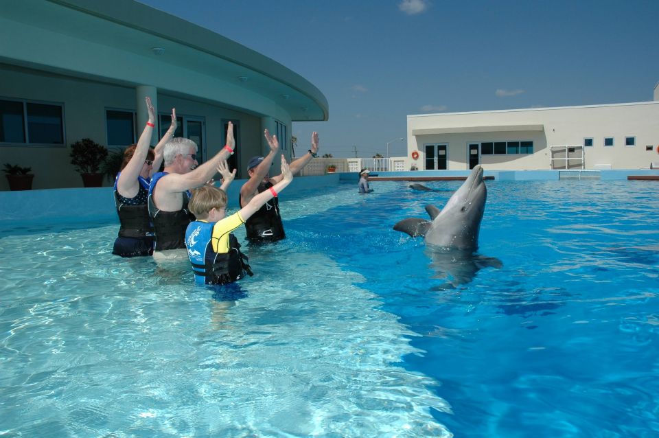 St. Augustine: Marineland Dolphin Encounter - Participant Requirements and Restrictions