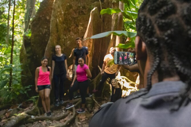 St Lucia Jacquot Trail Hike at Rainforest Adventures - Castries Waterworks Forest