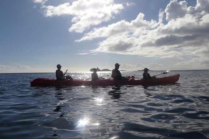 St Thomas Sea Turtle Snorkel Kayak Adventure Tour - Snorkeling and Kayaking