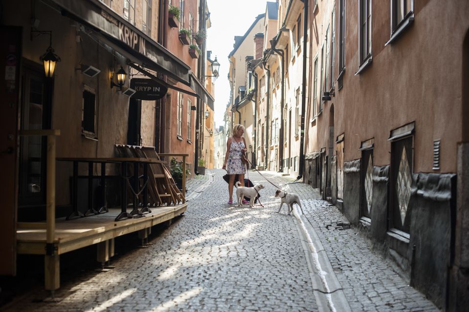 Stockholm: Old Town & Vasa Museum Skip-the-Line Private Tour - Photo Stops in Old Town