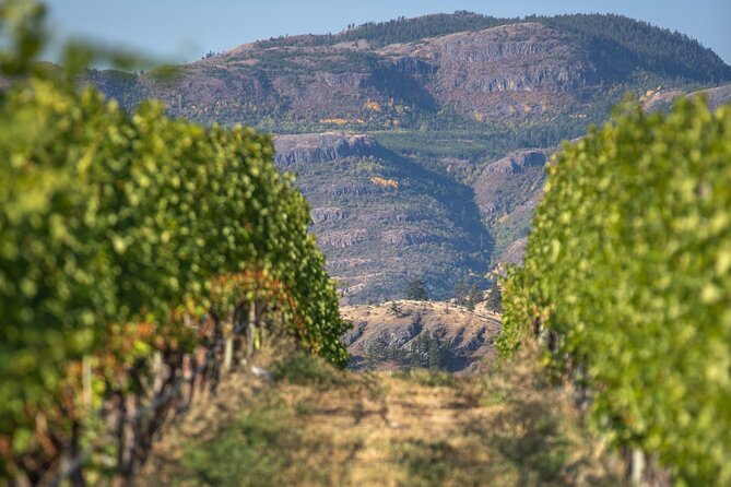 Summerland Wine Tour Full Day Guided With 5 Wineries - Tour Participant Restrictions