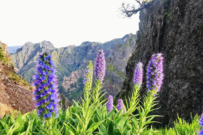 Sunrise Guided Hike PR1 Pico Do Areeiro Pico Ruivo Small Group - Pickup Details