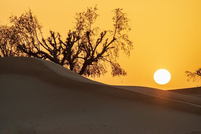 Sunrise/Morning Dune Drive With Camel Trek & Sand Surfing - Sunrise Photo Opportunity