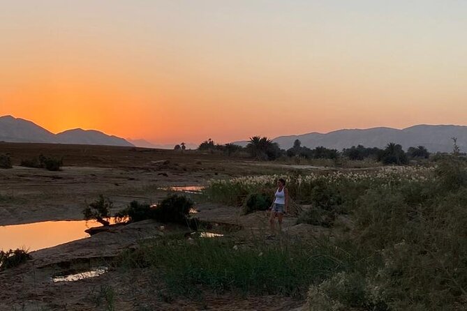 Sunset Oasis Desert Experience in El Gouna and Hurghada - Exploring the Eastern Desert