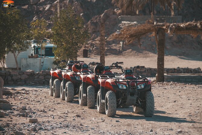 Super Safari ATV Quad Full Day and Jeep & Camel Ride & Dinner Party - Hurghada - Accessibility and Requirements