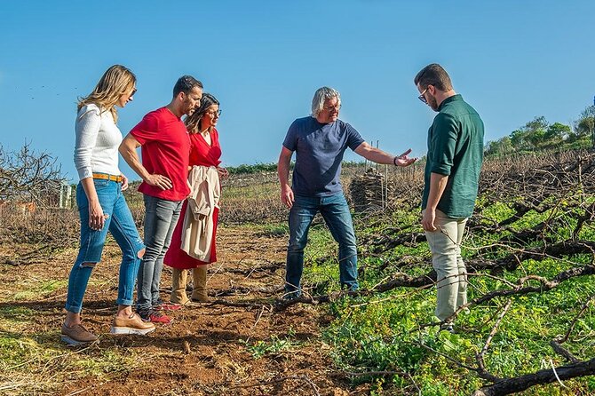 Tenerife Bodegas Monje Winery Tour With Wine and Cheese Tasting - Signature Wine Tasting Experience