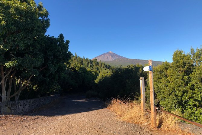 Tenerife Grand Tour: Including Teide National Park and Masca - Picturesque Towns of Icod De Los Vinos