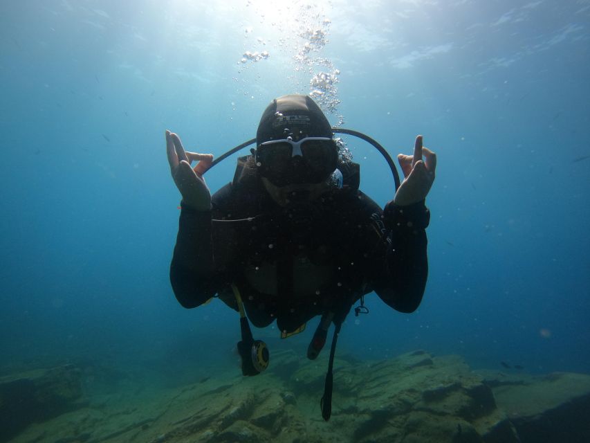 Tenerife: PADI Open Water Diver Course - Marine Life Exploration