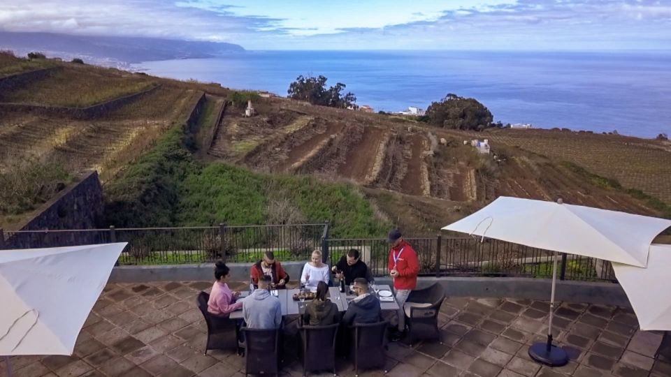 Tenerife Private Tour: Mount Teide Nature and Wine - Prestigious Winery Visit and Tasting