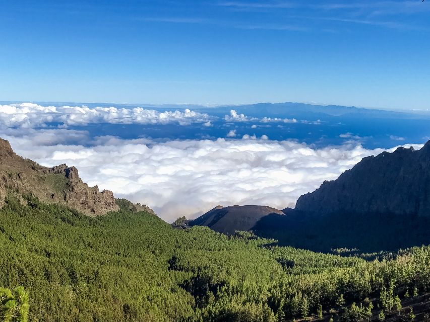 Tenerife Private Tour: Teide and Flavors of The North - Luxury Electric Car Transport