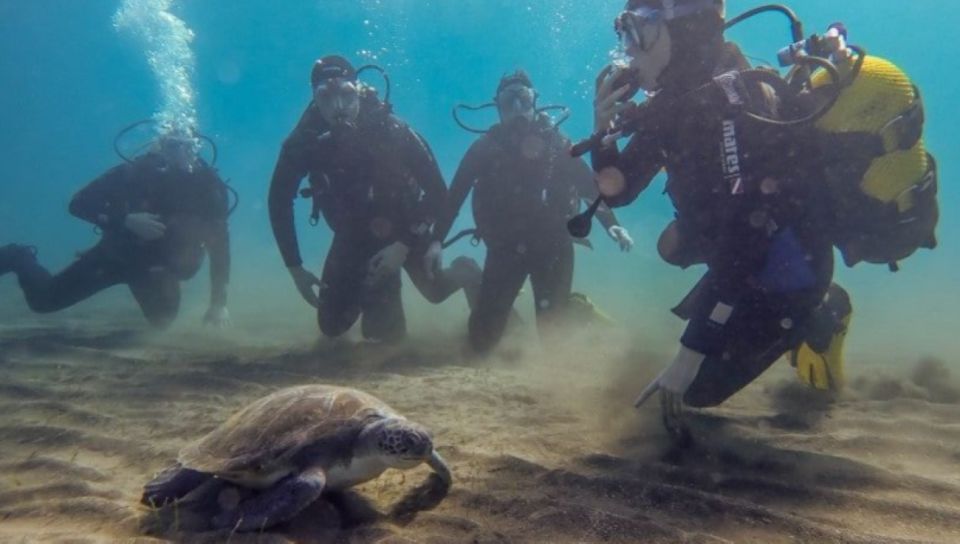 Tenerife: SSI Advanced Adventurer Diving Course - Certification Details