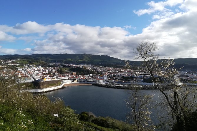 Terceira Island Half Day Tour - Customer Reviews and Experiences