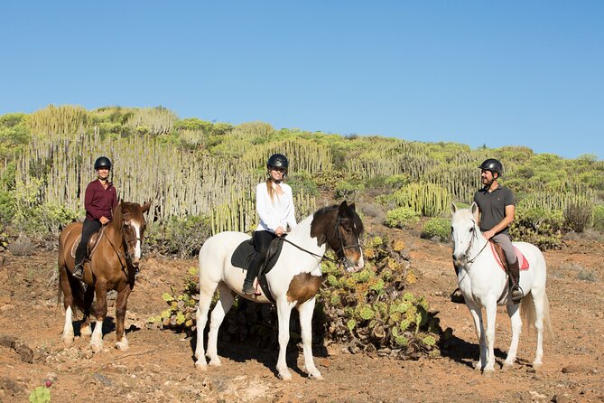 The Best Horse Riding Experience in Gran Canaria (2 Hours) - Tour Duration and Group Size