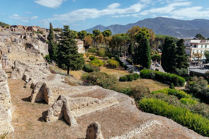 The Ultimate Ruins of Pompeii and Herculaneum Private Day Trip - Inclusions and Whats Covered