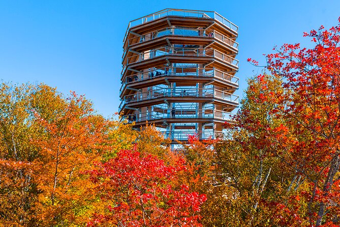 Ticket to Mont Tremblant Treetop Observatory and Walk - Cancellation and Refund Policy