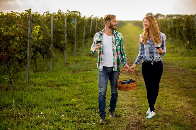 Toronto: Private Wine Tasting Tour in Niagara-on-the-Lake - Cancellation Policy