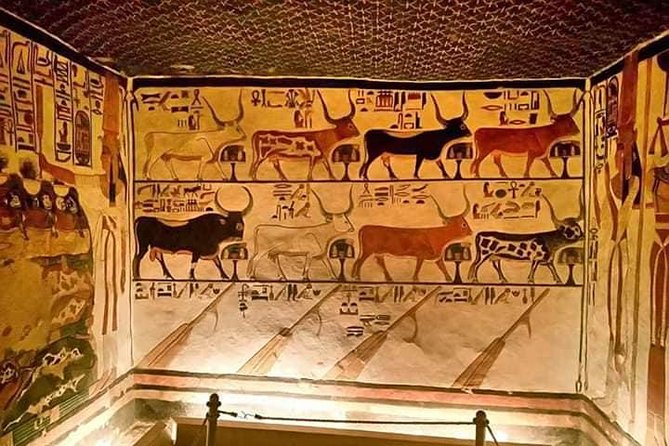 Tour to Nefertari Valley of the Kings &Queen King Tuts,Hatshepsut &more - Exploring the Tombs