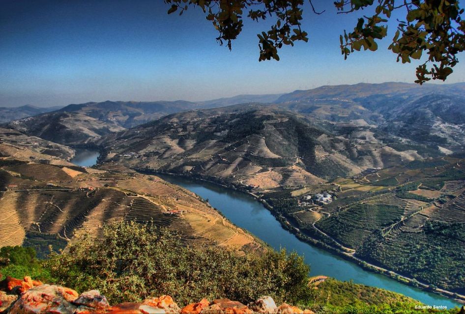 Travel From Porto to Lisbon, Douro Valley, and Braga & Guimarães - Exploring Douro Valley