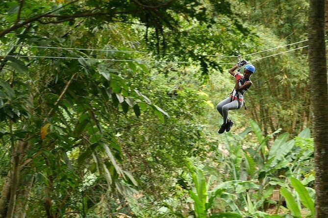 Treetop Adventure Park Canopy Tour - Convenient Pickup and Drop-off