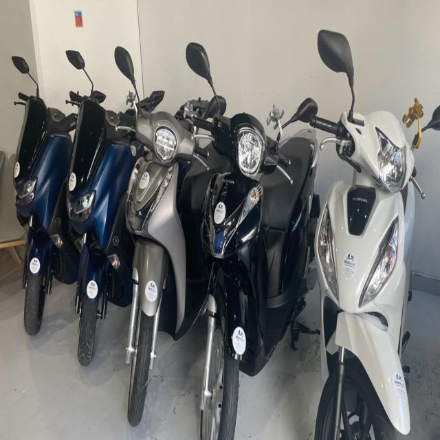 Trip Around Lisbon and Its Surroundings by Scooter - Rental Inclusions