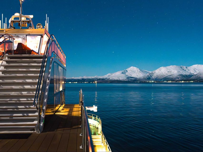 Tromsø: Aurora Dinner Cruise by Hybrid-Electric Catamaran - Scenic Arctic Landscapes