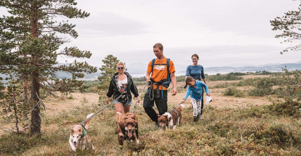 Tromsø: Husky Hike and Puppy Visit With Traditional Lunch - Immersion in North-Norways Wildlife