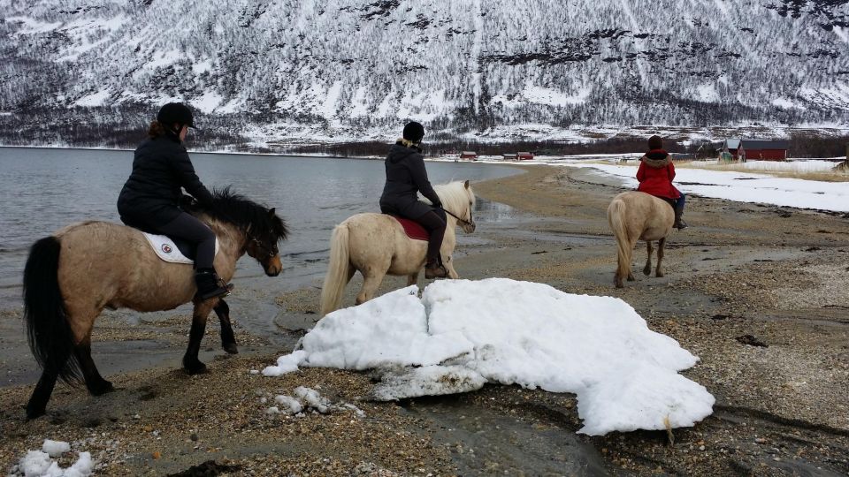 Tromsø: Lyngen Horseback Riding Experience - Horseback Riding in the Arctic