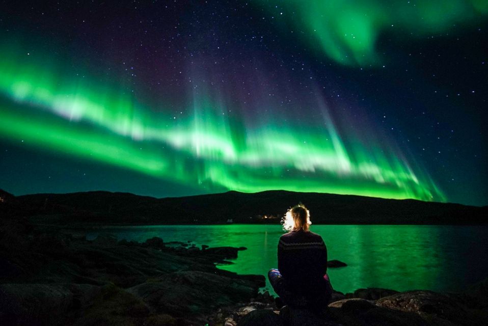 Tromsø: Northern Lights Chase Minibus Tour With Campfire - Highlights