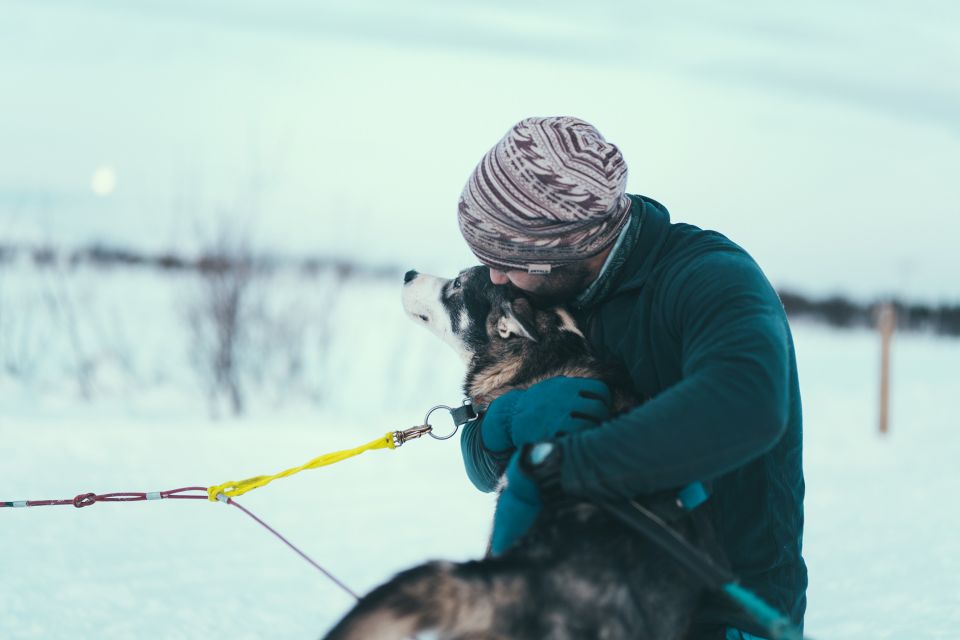 Tromsø: Self-Drive Husky Dog Sledding Adventure - Included in the Package