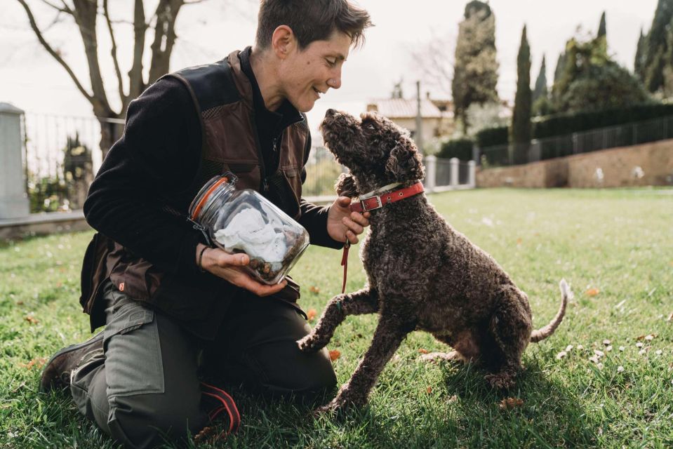 Truffle Hunt in Chianti and Cooking Class With Sunset Dinner - Wine Tasting in Cellar