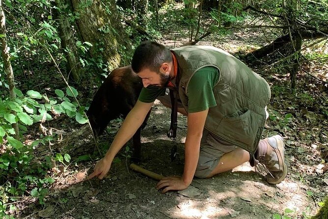 Truffle Hunting Adventure - Discovering the Hidden Treasures of the Forest Floor