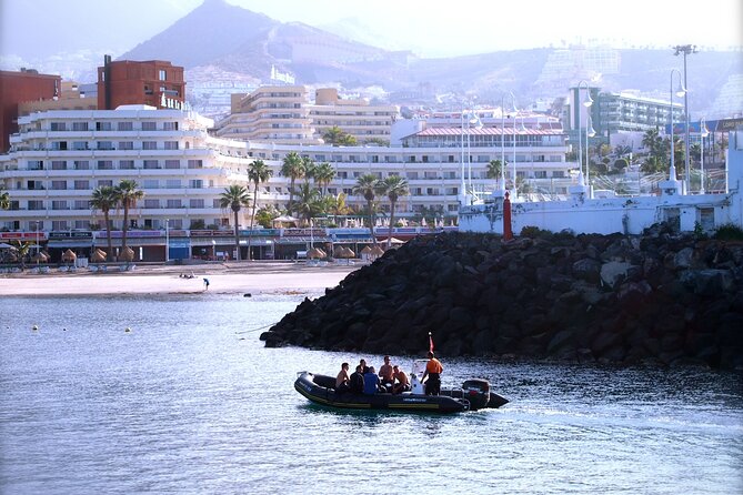 Try Scuba Diving in a Turtle Area (Boat) - Diving Equipment and Instruction