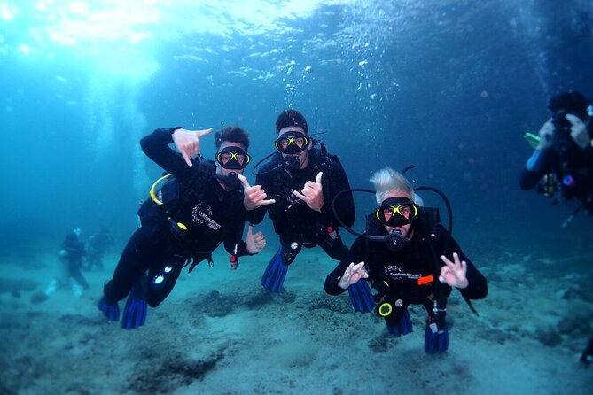 Try Scuba Diving & Snorkeling With BBQ Lunch & Transfer - Certification Opportunity