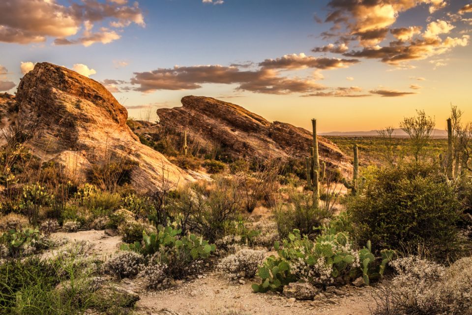 Tucson: Mt Lemmon & Saguaro NP Self-Guided Bundle Tour - Mount Lemmon Tour Highlights