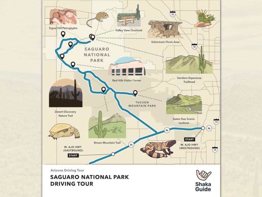 Tucson Tour: Saguaro & Mt. Lemmon Self-Guided Audio Tour - Signal Hill Trail Highlights