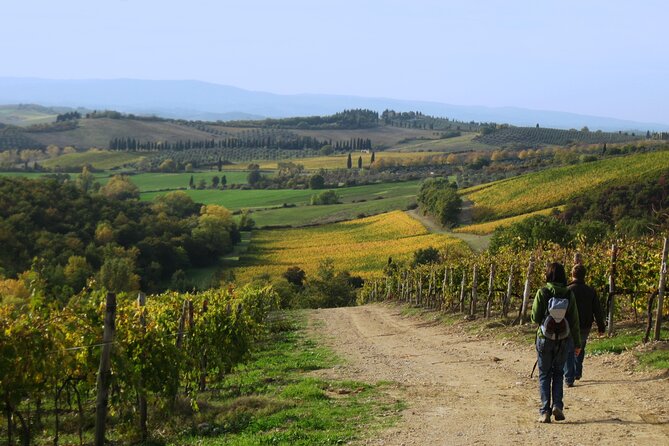 Tuscany Hiking Tour From Siena Including Wine Tasting - The Via Francigena Pilgrimage Route