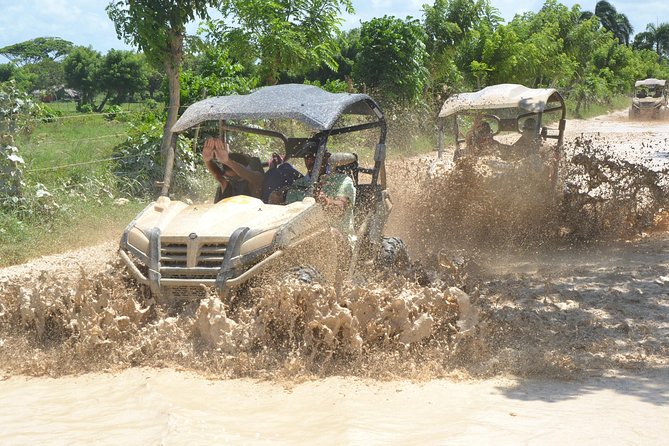 Ultimate Dune Buggy and ATV Adventure With Cave, Beach, Ranch and Free Cigar - Vehicle Options