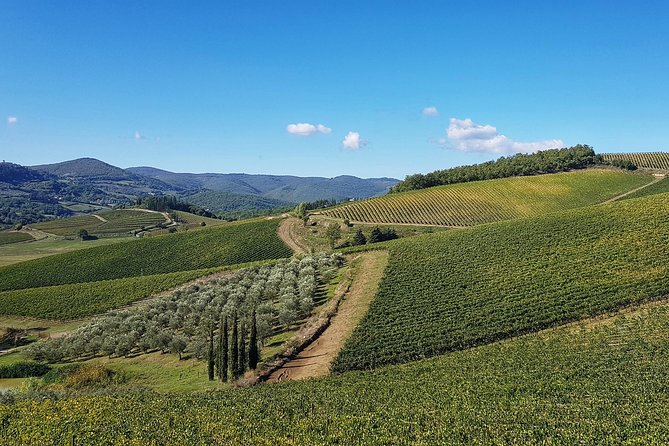 Ultimate Tuscany Bike Tour - Tour Details