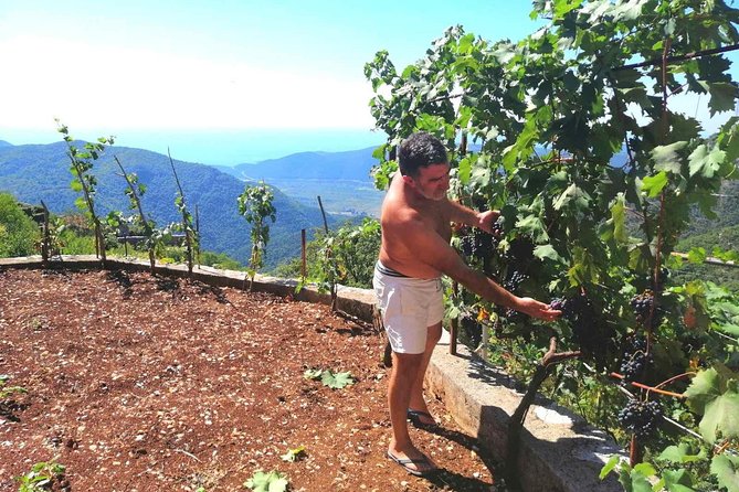 Unique Lunch Experience With Locals in High Hills Above Budva! - Whats Included