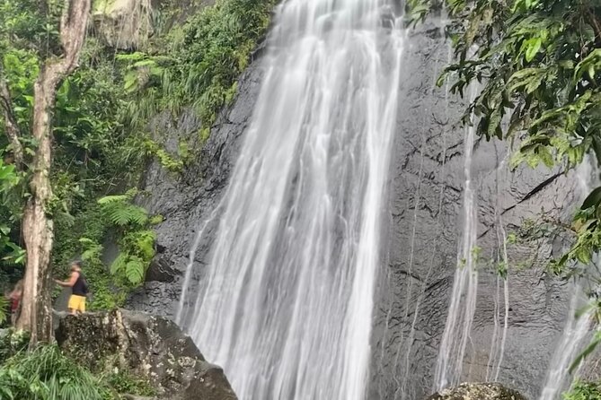 USDA El Yunque National Forest and Luquillo Beach Tour - Traveler Experiences and Feedback