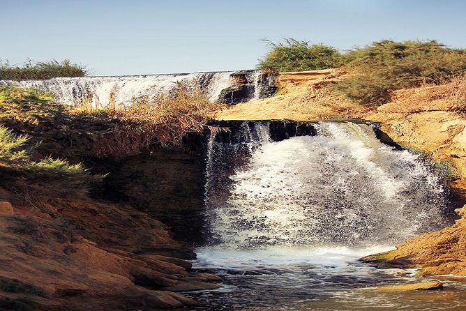 Valley of Whales and Wadi El Rayan Water Falls Day Tour From Cairo - Tour Inclusions