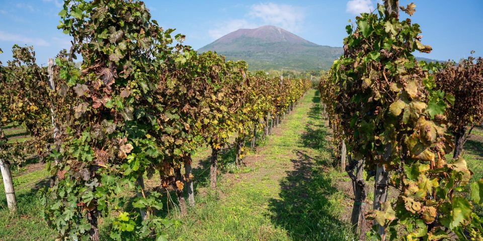 Vesuvius Valley and Pompeii With Wine Tasting and Lunch by Van - Luxury Van Transportation